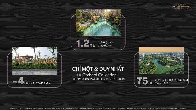 Đặc Quyền "Kép": Bảo Chứng Cho Tầm Nhìn Phát Triển Bền Vững